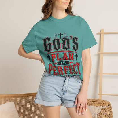 God's Plan Is Perfect T-Shirt